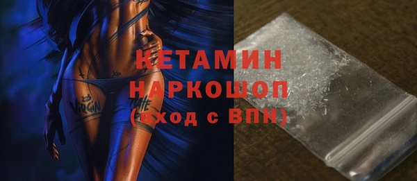 винт Ельня
