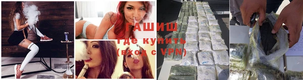 винт Ельня