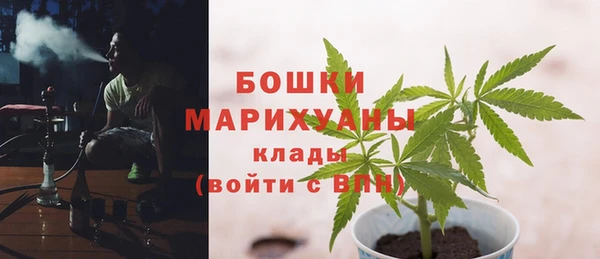 винт Ельня