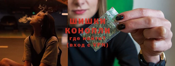винт Ельня