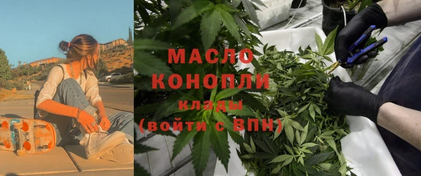 винт Ельня