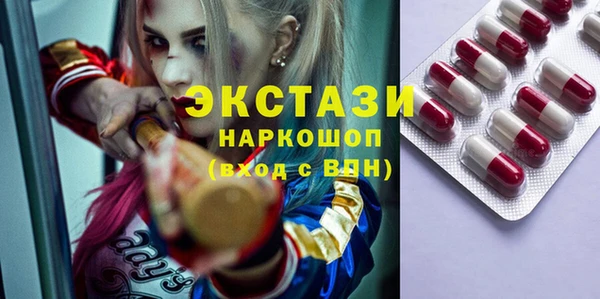 винт Ельня