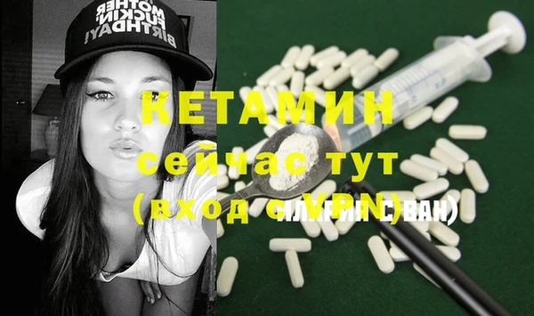 винт Ельня