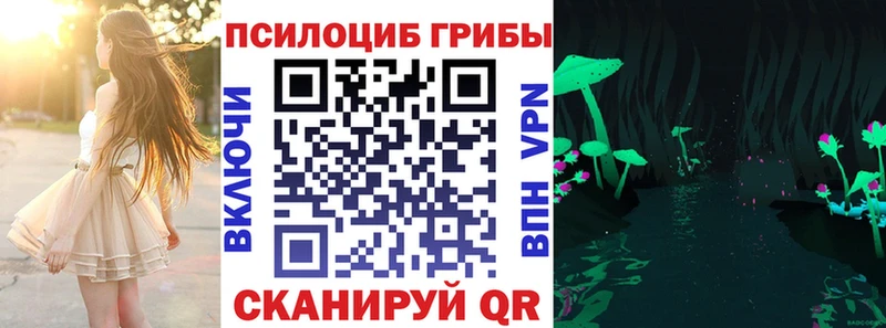 Псилоцибиновые грибы GOLDEN TEACHER Зубцов